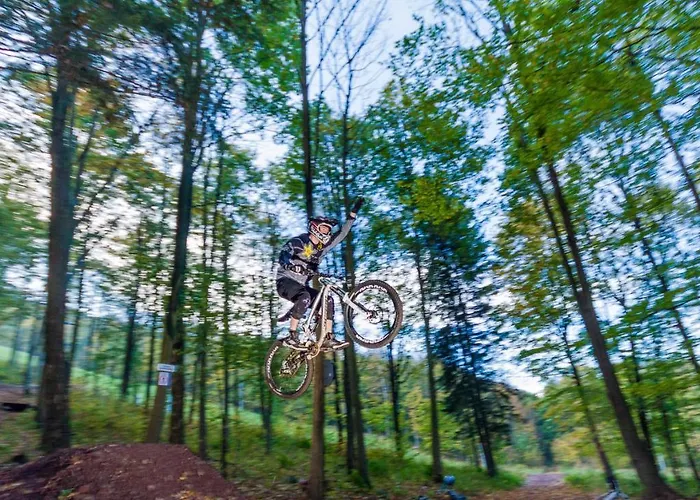 Resort Gora Dzikowiec 