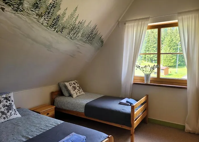 リゾート Gora Dzikowiec 