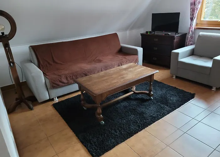 リゾート Gora Dzikowiec 